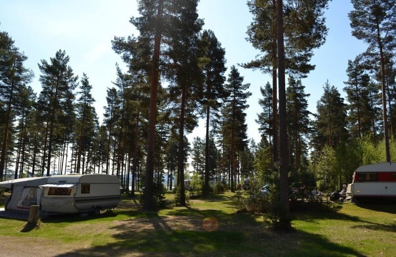 Campingplatser med el (± 100m²)