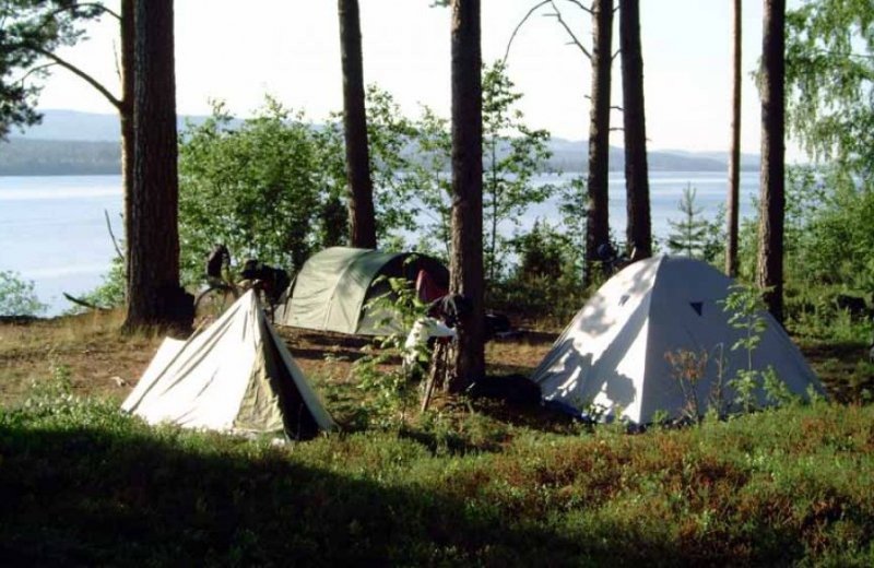 Campingplatser  utan el (± 100m²)